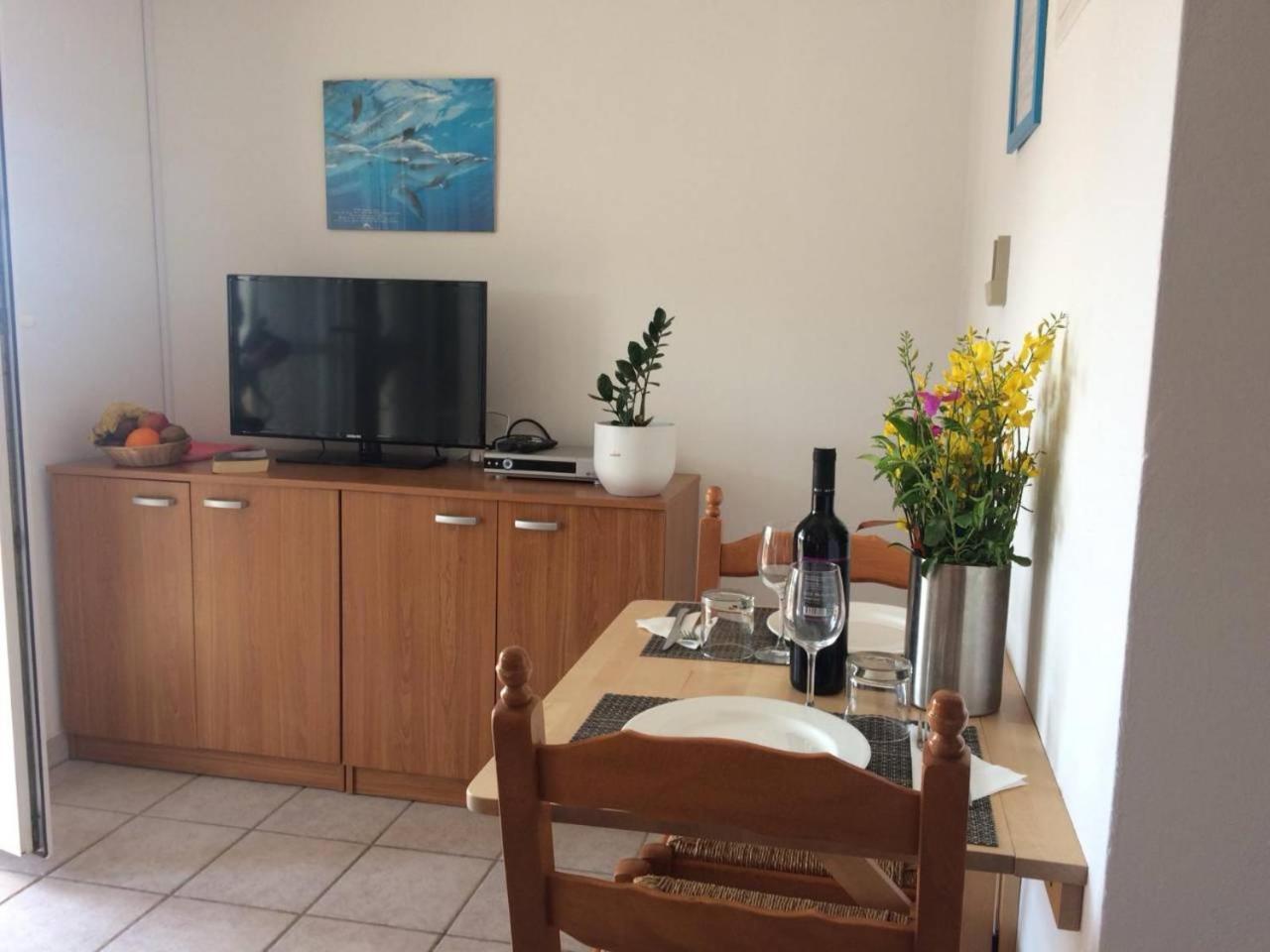 Gorgonia & Apartment