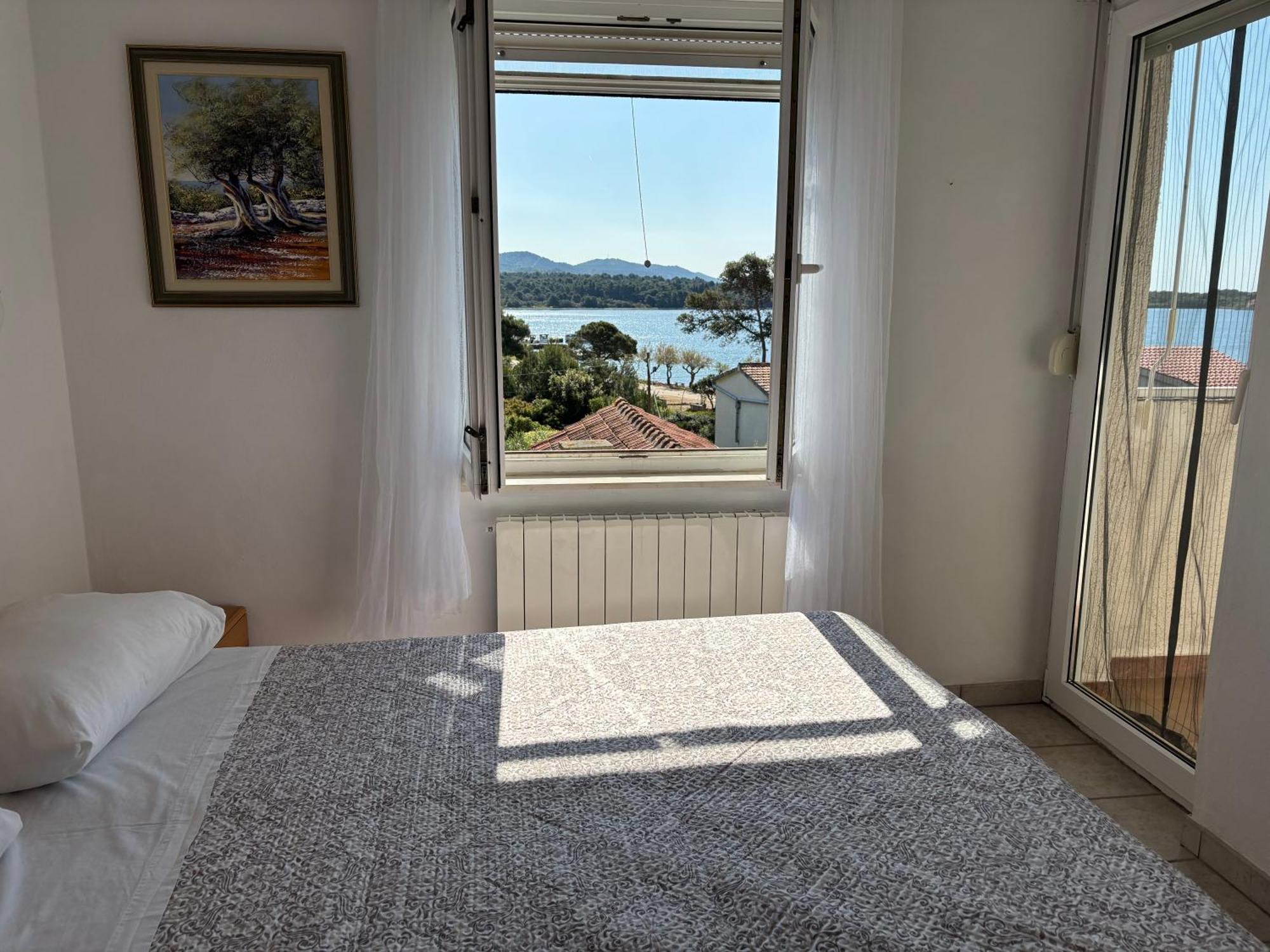 Gorgonia & Apartment Verunic