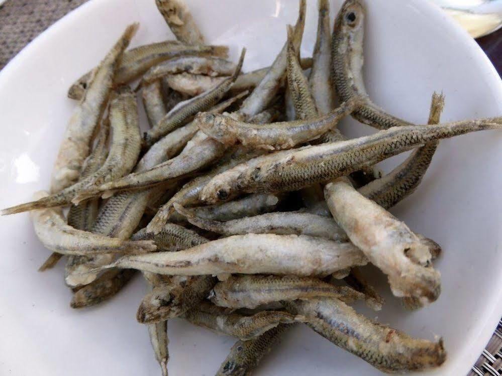 Gorgonia &