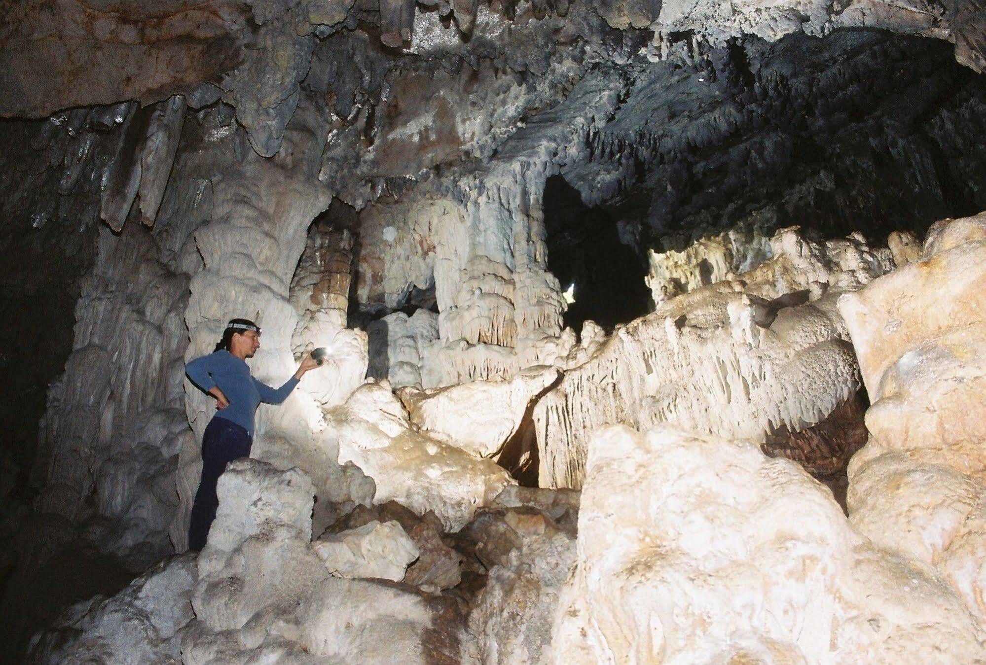 Gorgonia & Verunic